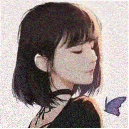 用户头像 追番观众